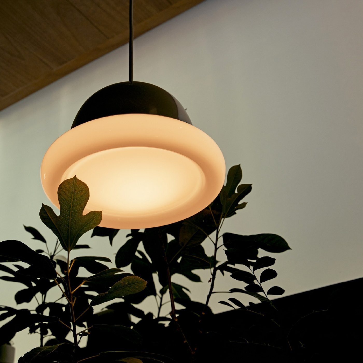 MAGRITTE40 Pendant