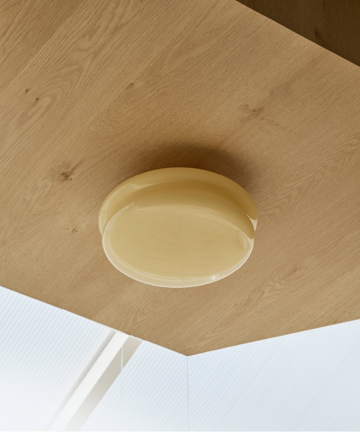 SNOWMAN25 Ceiling